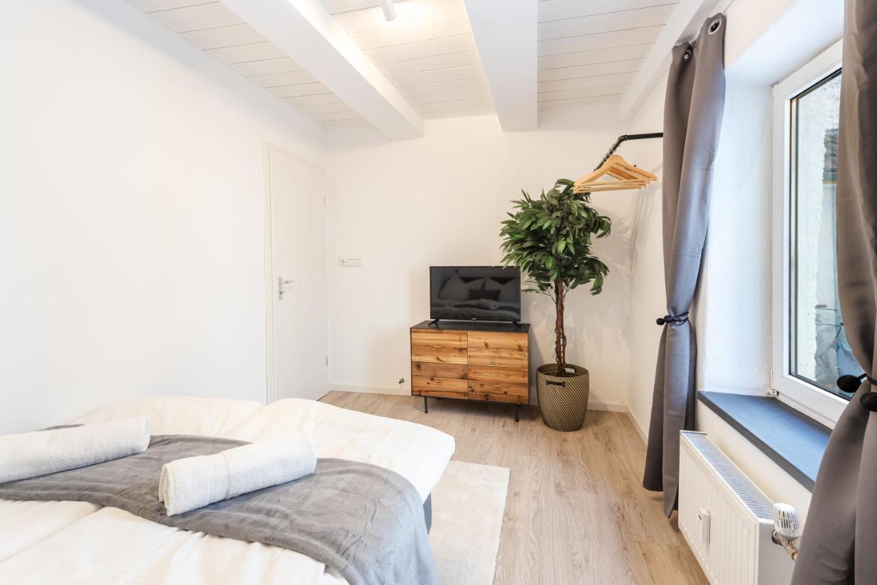 Terrace Apartment With 5 Rooms, Whirlpool And Bbq Аугсбург Экстерьер фото